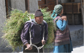 Bauern ladakh Indien zahnmedizinische Versorgung